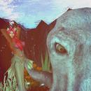 Thumb 624e8035b9336e49aaeedffd