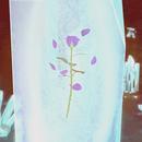 Thumb 624f6b6f4cc9c9624f675141