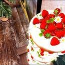 Thumb 624fc5934ddcbf5bd6b39e7e