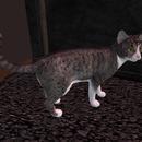 Thumb 6250be8ae3937d435e38c3e4