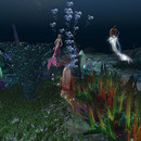 Thumb 64a084cbf84c8d136d8beea2