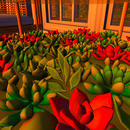 Thumb 64a6feb093ab5a4536135bcb