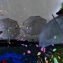 Thumb 64a7405d0b5fe862e940972d