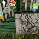 Thumb 67cb51cc59dad42c95a1457b