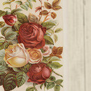 Thumb 67cb525384f03c1c6438b676