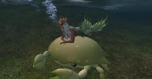 Web 622d449e7b8dd72527656877