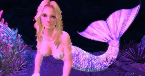 Web 622ead8298366d40aa423edf