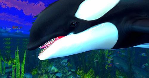 Web 622fb06a0854a710b7c1bd52