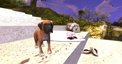 Web 622fc1ac4cc9c91c5a675141