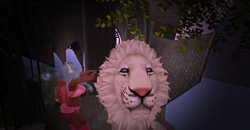 Web 6230308dd4afc32bb74a46f3