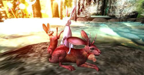 Web 623177164ddcbf3877b39e7e