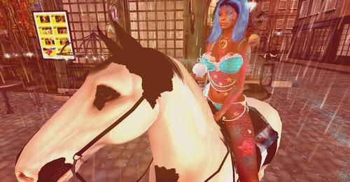 Web 623670f9972bb6686c5db03b