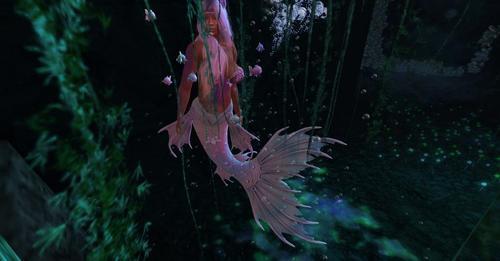 Web 62377808eb58b30345623cb4