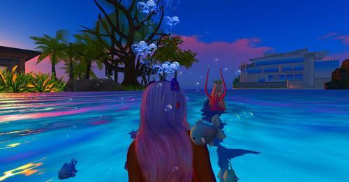 Web 6237ed034ddcbf3c4bb39e7e