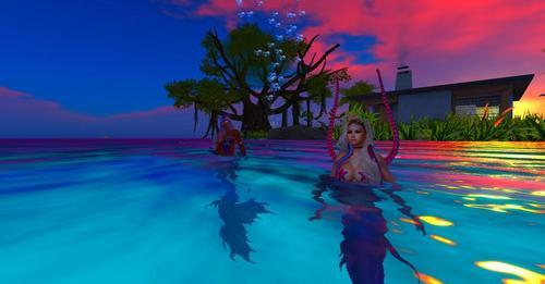 Web 6237ef81dcdb5b72e56e7c9c