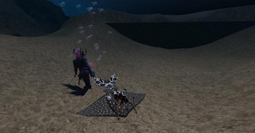 Web 623a7dbfe8a5f16edec1669f