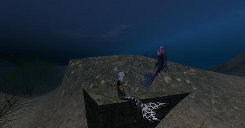 Web 623a8036e8a5f17251c1669f