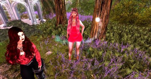 Web 623d146598366d10ad423edf