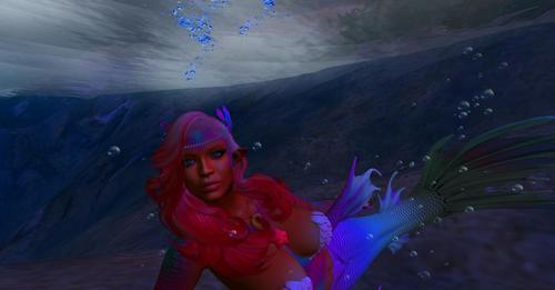 Web 6240c9b9dcdb5b17326e7c9c