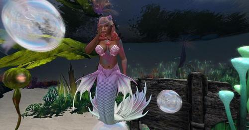 Web 624118057b8dd73f1e656877