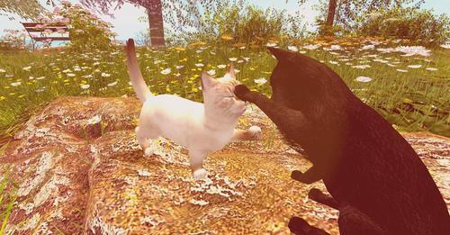 Web 62423f8b98366d2c66423edf