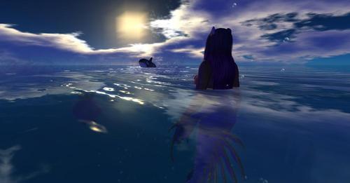 Web 6246ac70df1cd57e762fa9d0