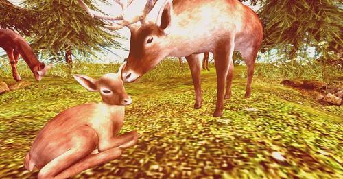 Web 6247442b98ed954286895231