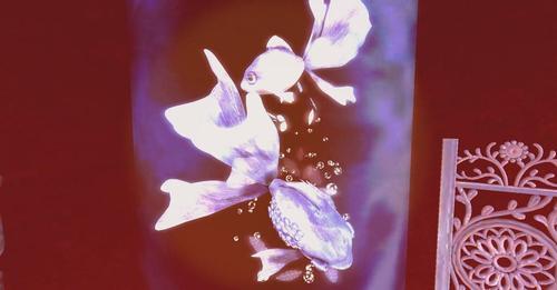 Web 624772eeb9336e6a02eedffd