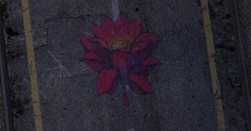 Web 6247772298ed954611895231