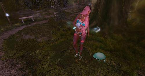 Web 624a639a972bb656d45db03b