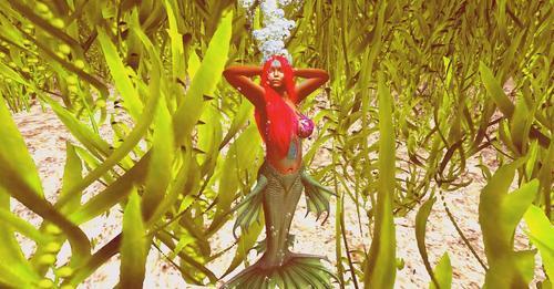 Web 624e488fd4afc33dc84a46f3