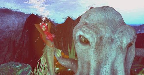 Web 624e8035b9336e49aaeedffd