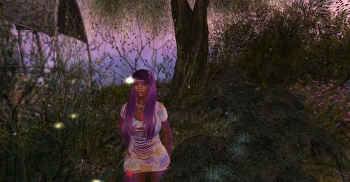 Web 6250dea67b8dd7053d656877