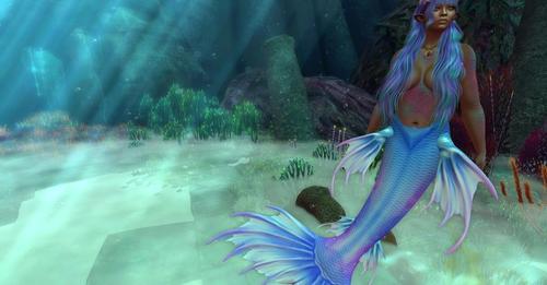 Web 62536ced0854a74ef3c1bd52