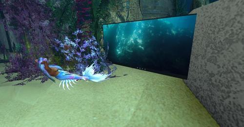 Web 6254ed224ddcbf2029b39e7e