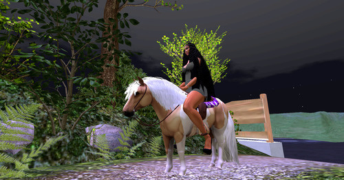 Web 649bb1ff93ab5a1274135bcb