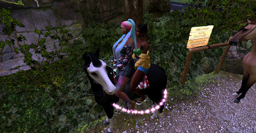 Web 649bb220e8a3b80a5024b2dc