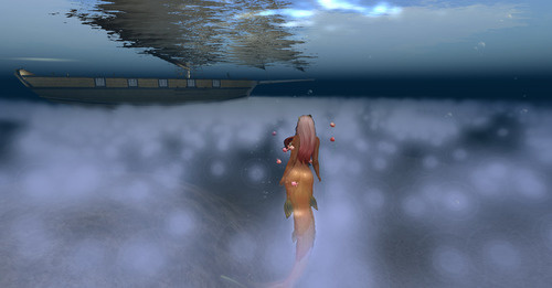 Web 649e5eff54324879f6a47f06