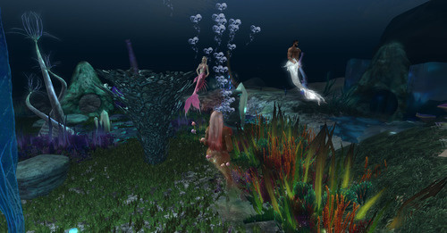 Web 64a084cbf84c8d136d8beea2