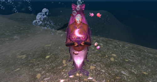 Web 64a45de8a6b1ba6765c7a796