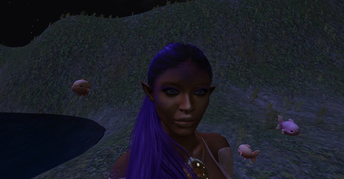 Web 64a4b7b1af1f084e11daa2bf