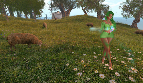 Web 67c96f7ba35fe762315040e5