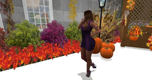 Web 58322eebb0154023f0000001