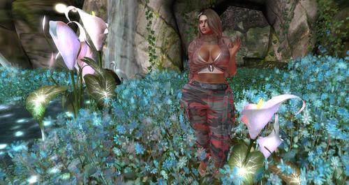 Web 5cefb4f0d774f829d1000001