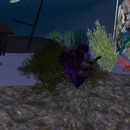 Thumb 4fca6e816adc3a35ad000001