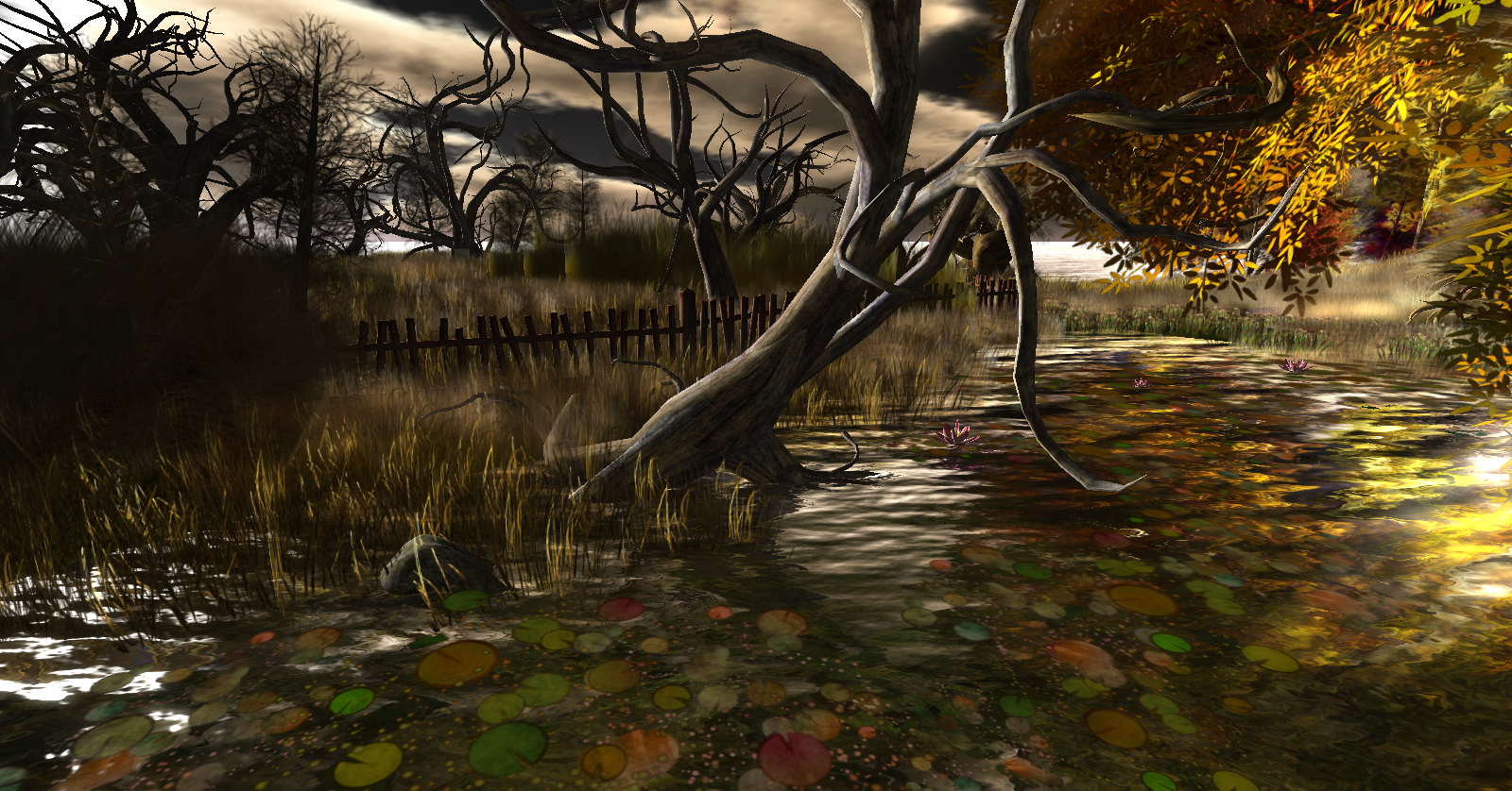 Original 5095c5a496edce5774000001