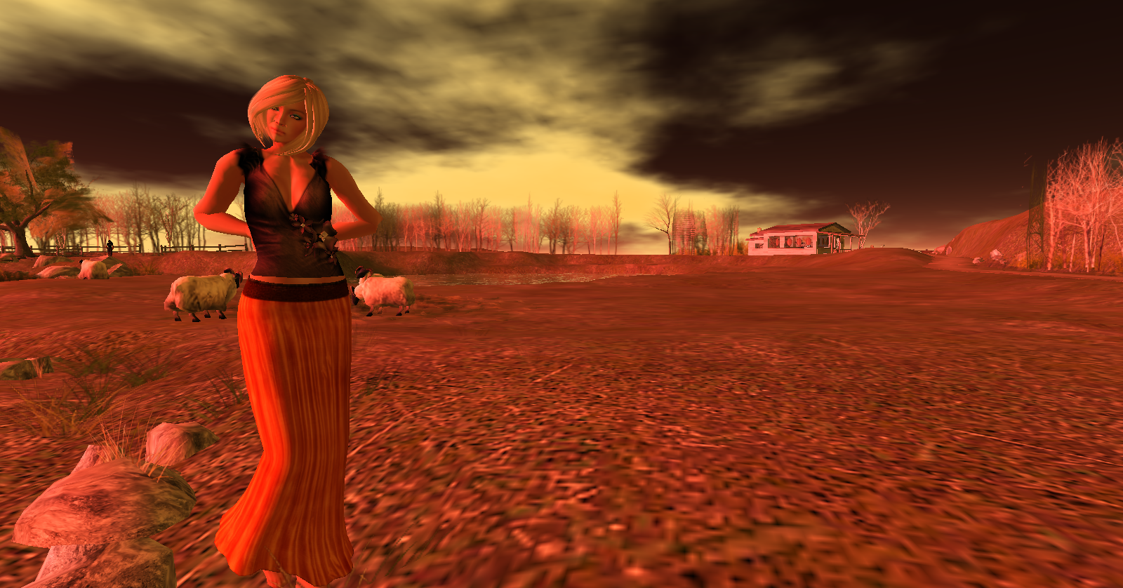 Original 509d5549cdd5b95a42000001