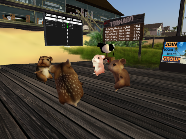 Original 51d514eb46bd8407f6000001