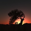 Thumb 50515d753eefce26a7000001