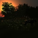 Thumb 505163883652623946000001